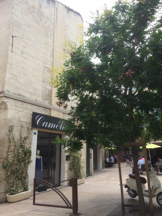 Nostradamus Saint-Rémy-de-Provence Exterior photo